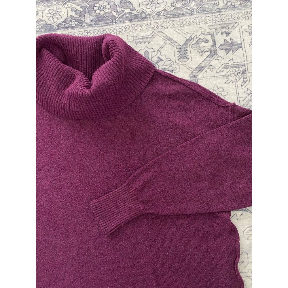 Terra & Sky Womens 1X (16-18W) Purple Turtleneck Sweater‎ Soft Stretch Excellent